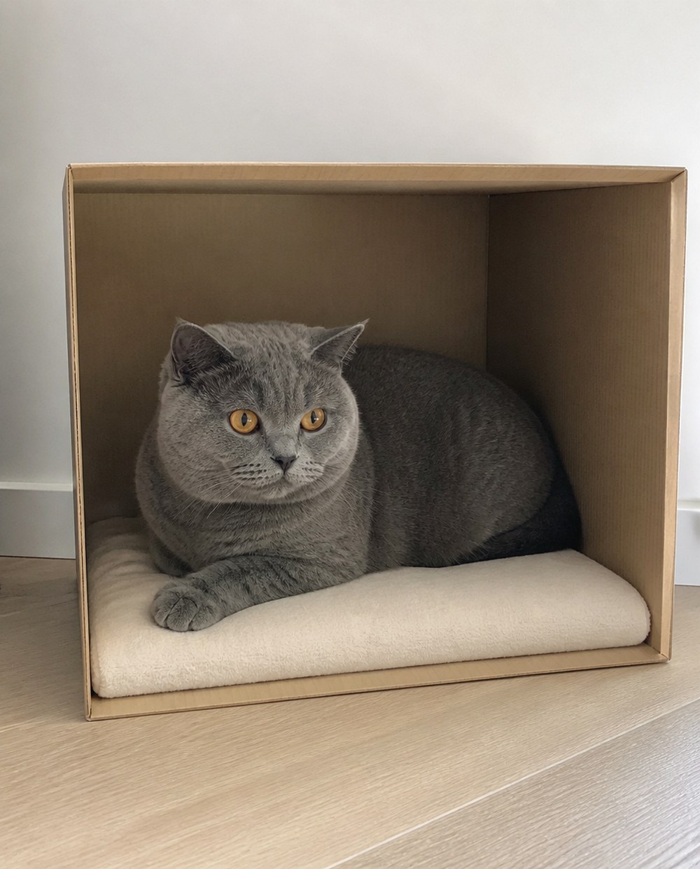 After Create a Two Layer Hideaway With an Open Box and Cushion