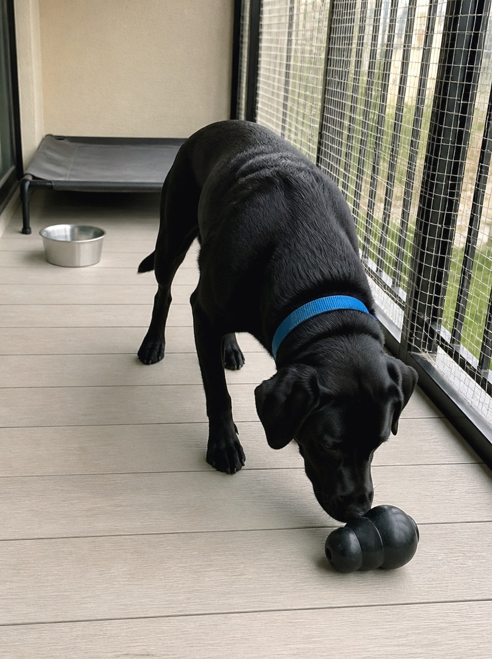 After Create a Small Sniff and Explore Zone