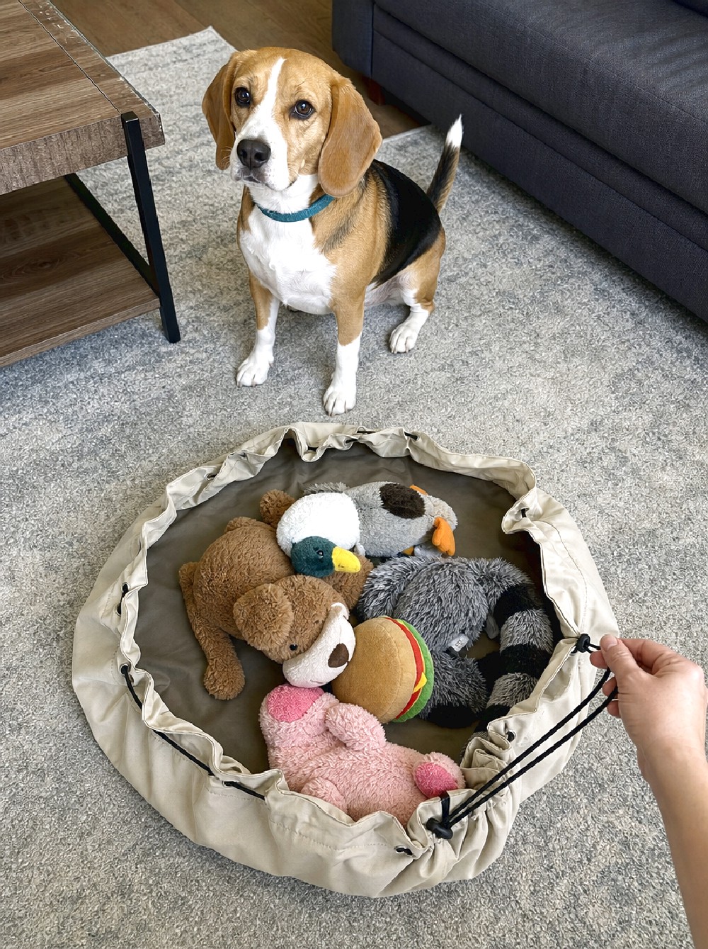 Soft Sided Drawstring Play Mat Bag