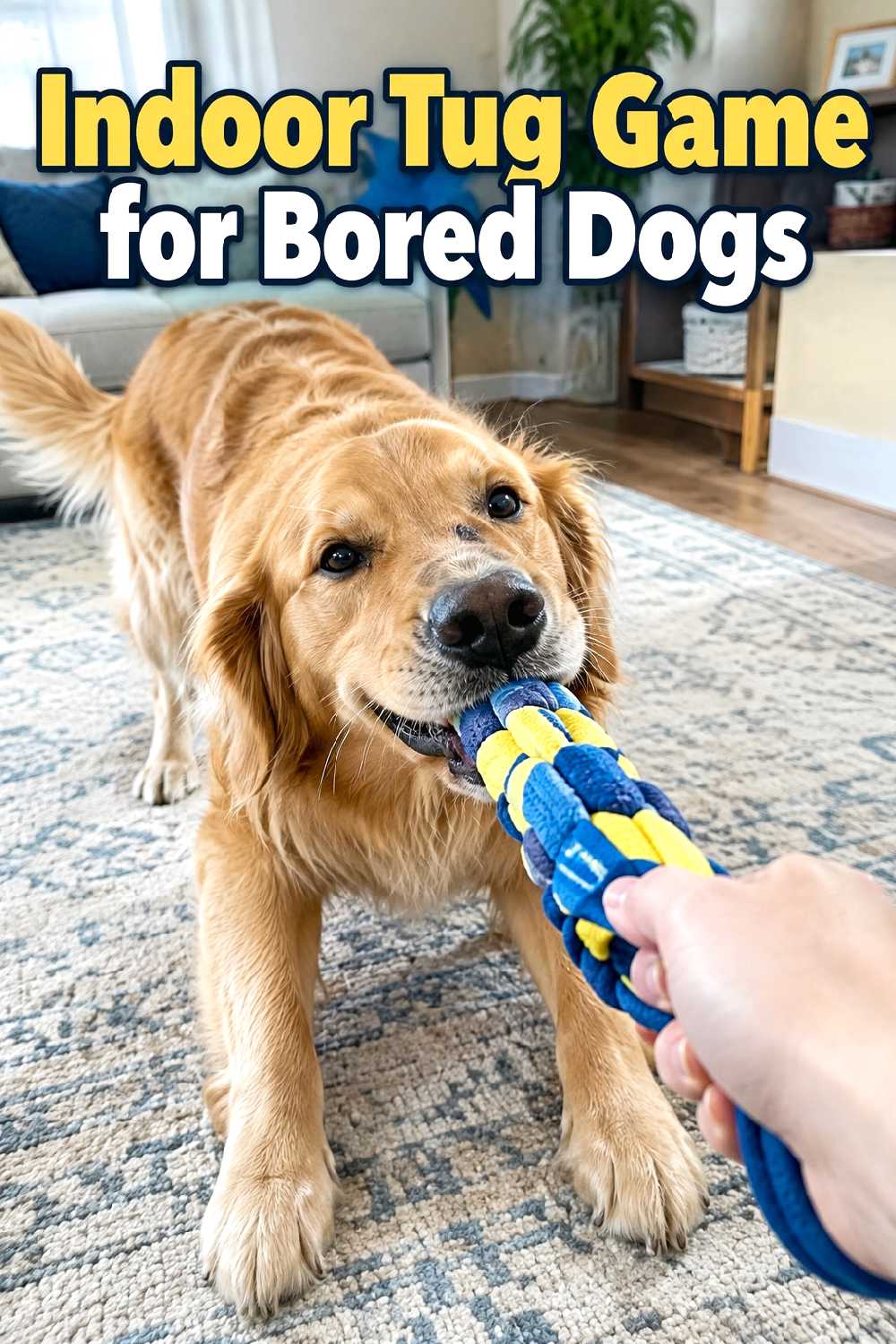 12. Indoor Tug Game For Bored Dogs