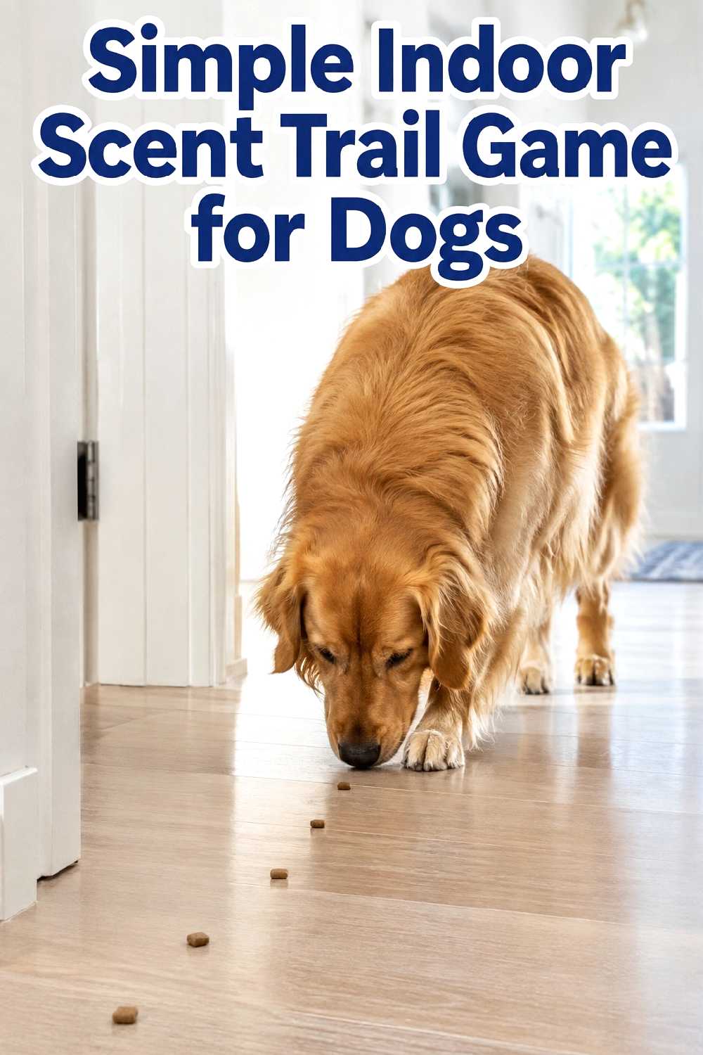 5. Simple Indoor Scent Trail Game For Dogs